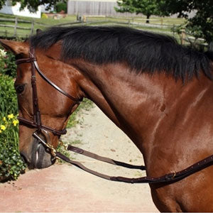 Side Reins / Draw Reins