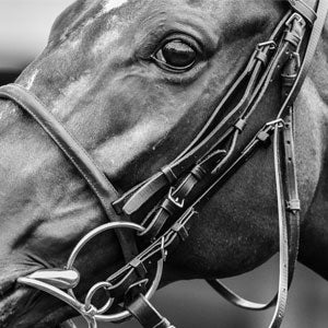 Bridles