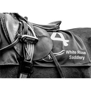 Used Saddles