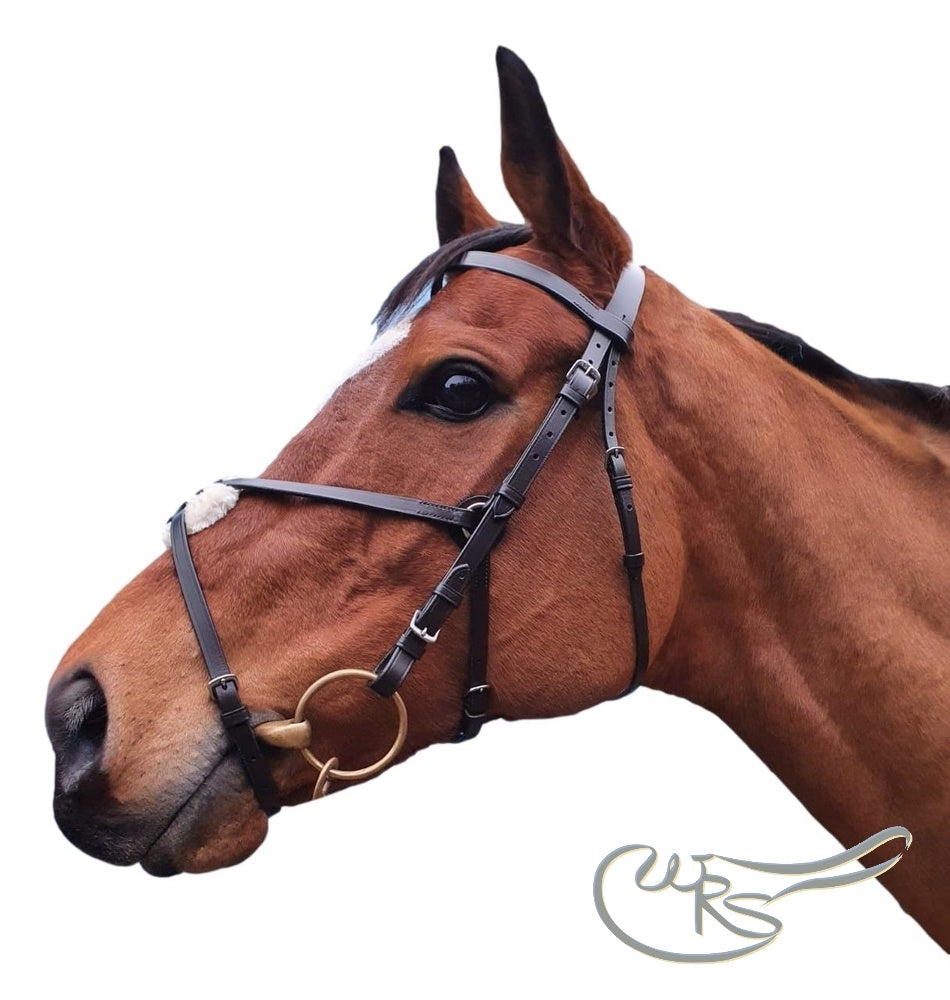 Ascot Leather Grackle bridle