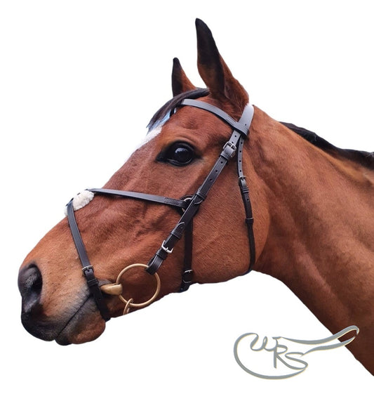 Ascot Leather Grackle bridle