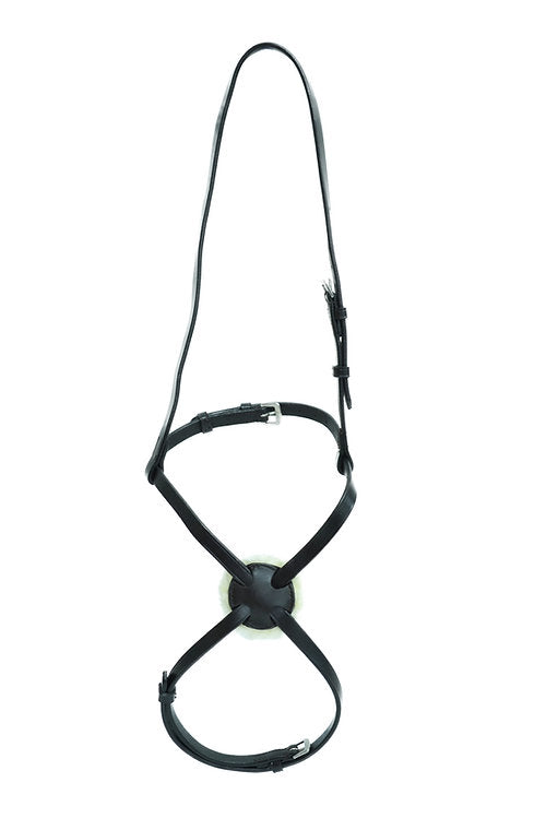 Ascot Leather Grackle Noseband