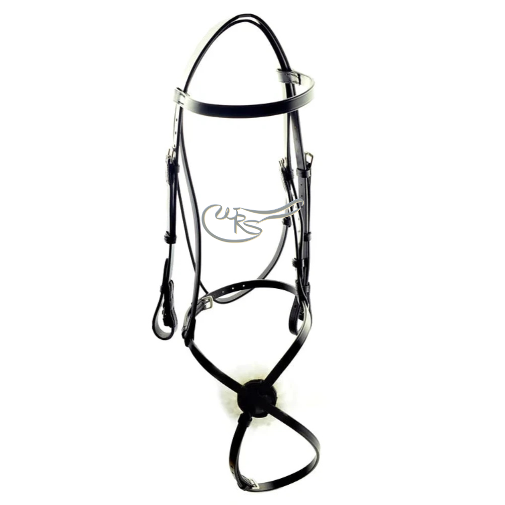 Ascot Leather Grackle Bridle