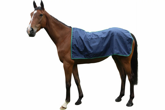 Waterproof Paddock or Exercise Sheet