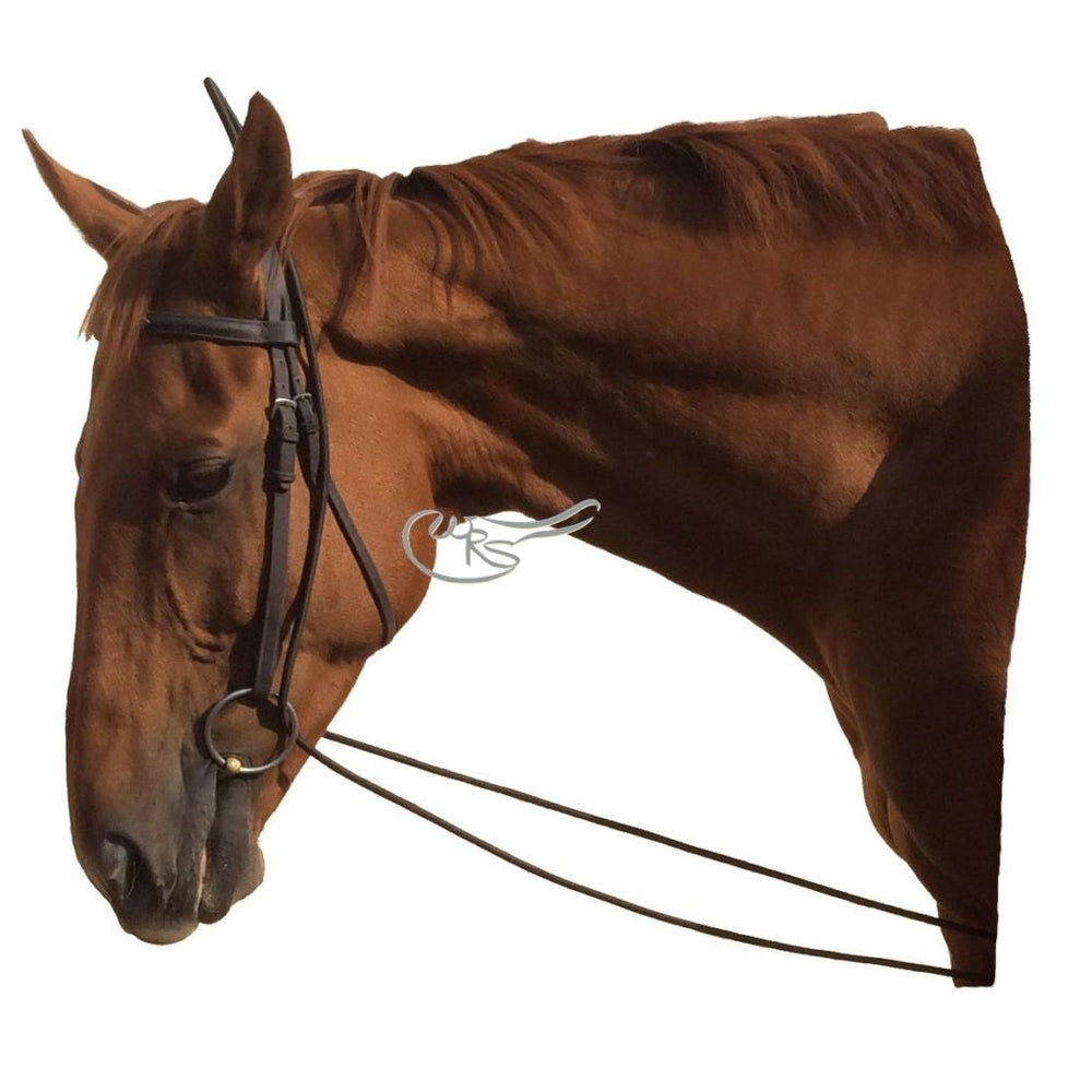 Bungee Training Reins, Brown