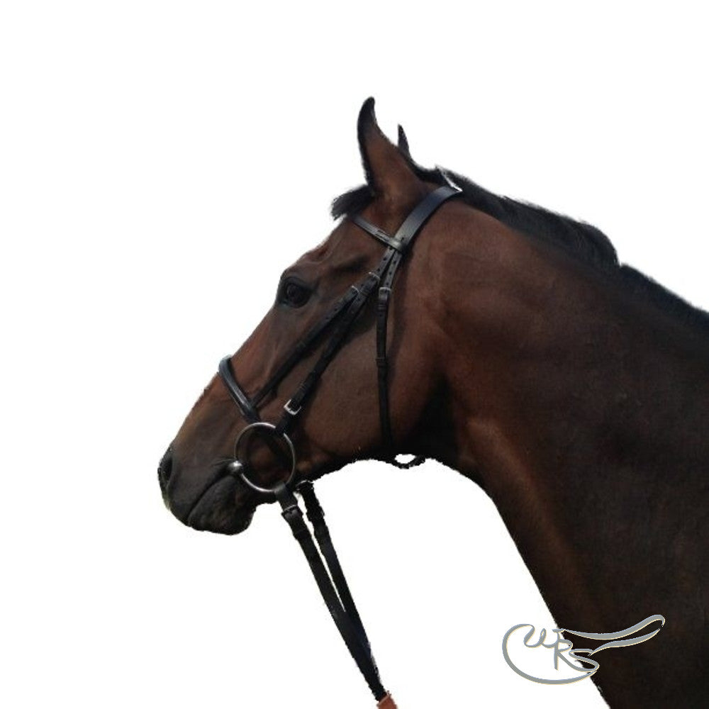 English Leather Race Bridle