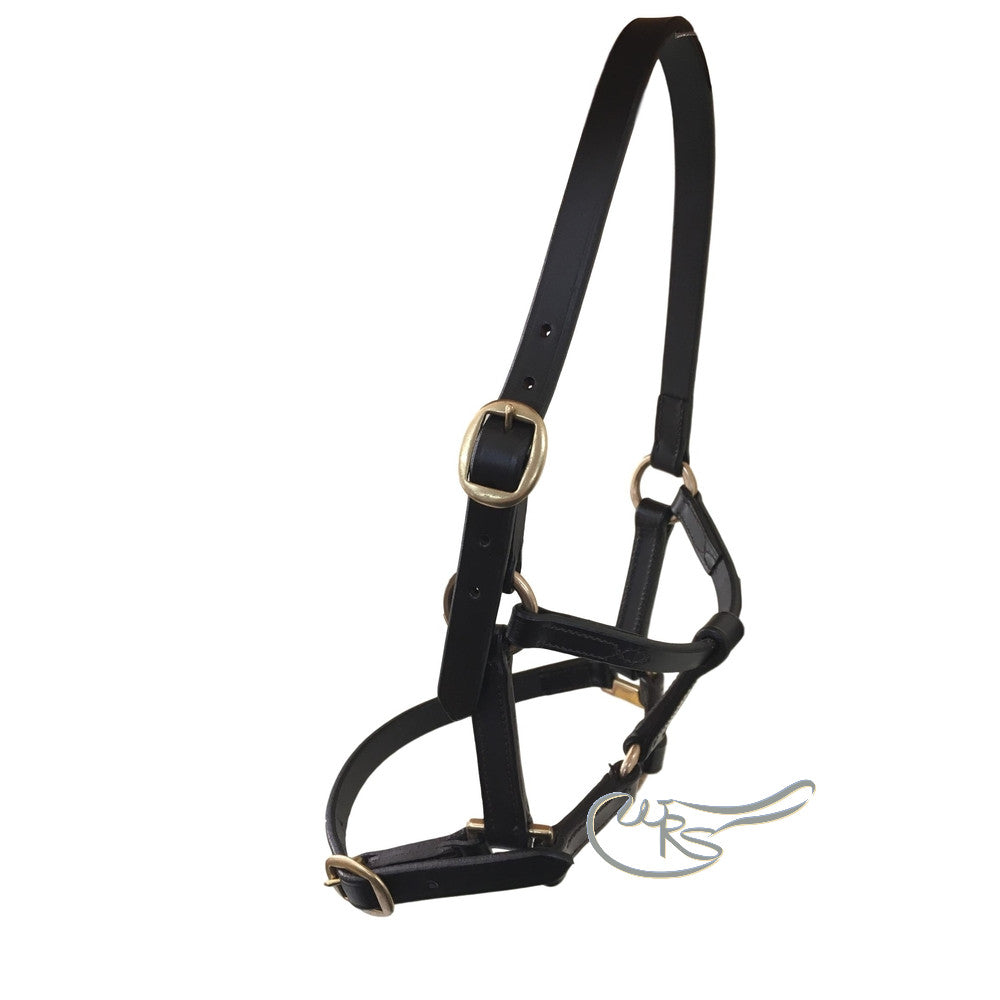 Leather Foal Headcollar