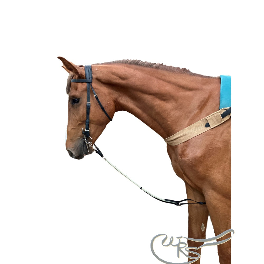 French Riding Tools WRS French Elastic Training Aid – White Rose Saddlery Ltd