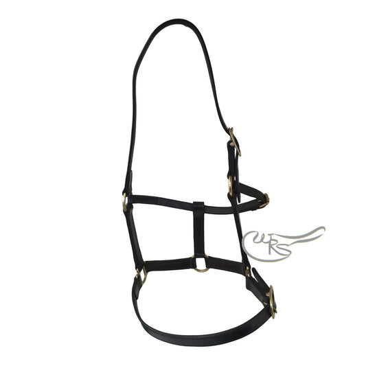 Leather Headcollar