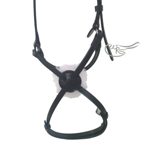 English Leather Grackle Mexican Noseband