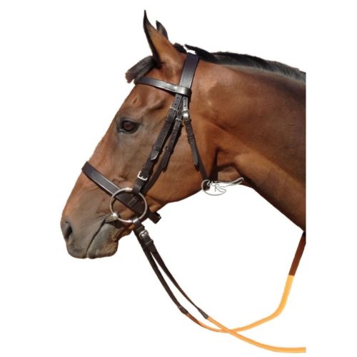 Leather Exercise Bridle